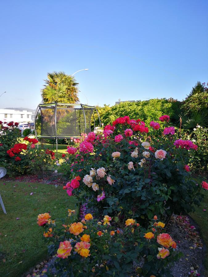 Phoenix Thermal Resort - Taupo Exterior foto