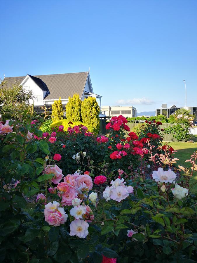 Phoenix Thermal Resort - Taupo Exterior foto